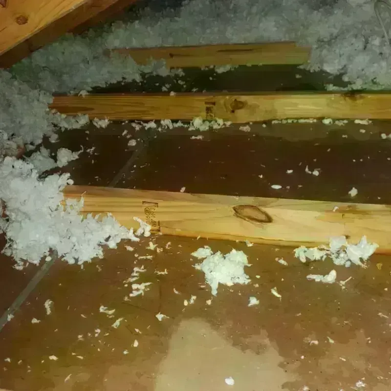 Attic Water Damage in Southern Shores, NC